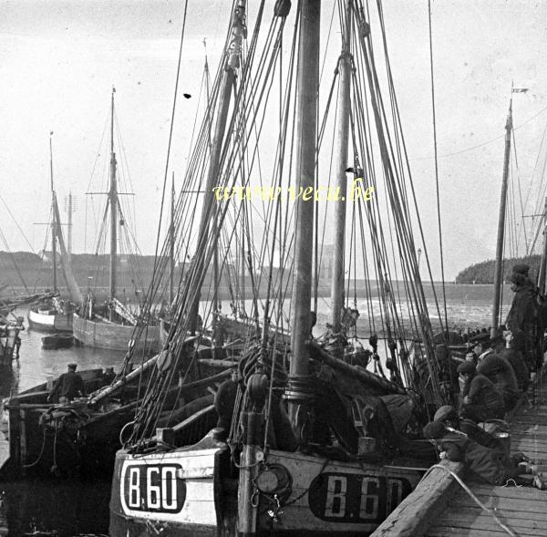 photo ancienne  de Blankenberge  Arrivée des bâteaux de pêche