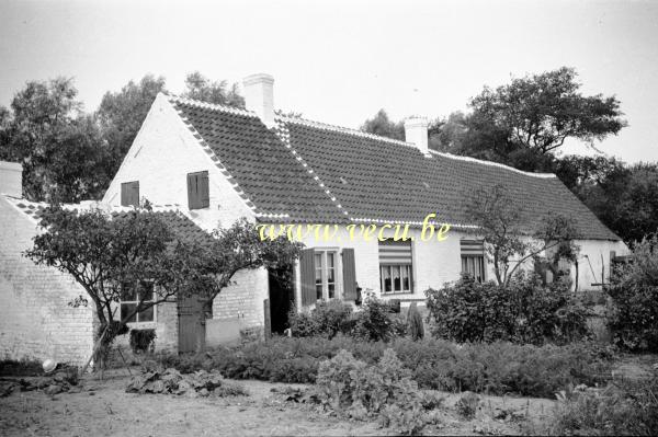foto  van De Panne 