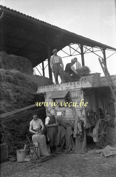photo ancienne  de métiers de l'agriculture et de l'élevage  