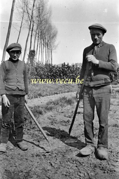 photo ancienne  de métiers de l'agriculture et de l'élevage  Travail dans les champs