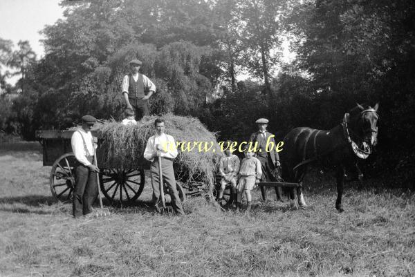 photo ancienne  de métiers de l'agriculture et de l'élevage  Fenaison