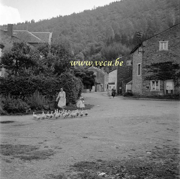 photo ancienne  Basse-cour sur la place. Panneau électoral(p.s.c.) sur la droite et publicité Penzoil au centre (garage?)