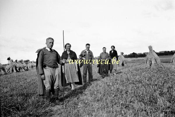 photo ancienne  Promenade dans les champs après la moisson