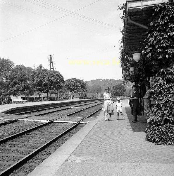 photo ancienne  Attente du train à la gare de Courrière