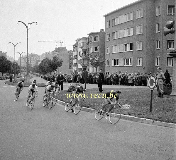 photo ancienne  de sport cycliste  Le critérium du tour de France à Woluwe en 1960 (avenue de Brocqueville)