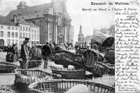 carte postale ancienne de Malines Marché au Bétail et l'Eglise St Pierre