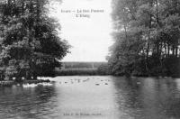 carte postale de Evere Le Bon Pasteur. L'étang.