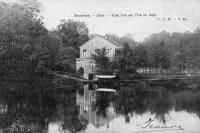 carte postale de Bruxelles Bois - Une vue sur l'Ile du Bois - Chalet Robinson