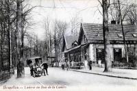 postkaart van Brussel Laiterie du bois de la Cambre