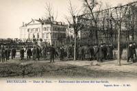 carte postale de Bruxelles Dans le parc - enlèvement des arbres des bas-fonds carte postale de Bruxelles Dans le parc - enlèvement des arbres des bas-fonds