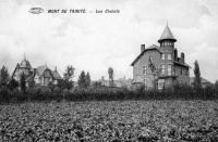 carte postale ancienne de Mont-Saint-Aubert Mont de Trinité - Les châlets