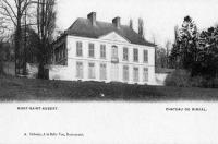 postkaart van Mont-Saint-Aubert Château du Rinval