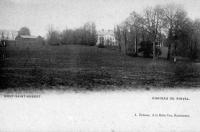 carte postale ancienne de Mont-Saint-Aubert Château du Rinval
