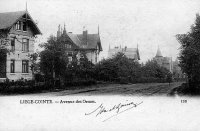 carte postale ancienne de Liège Cointe - Avenue des ormes