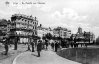 carte postale ancienne de Liège Le marché aux Chevaux