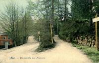 carte postale ancienne de Spa Promenade des Français