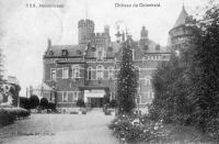 postkaart van Nessonvaux Château de Colonheid