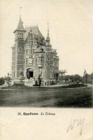 postkaart van Dalhem Le Château