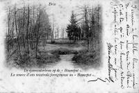 postkaart van Bree La source d'eau minérale ferrigineuse au Booneput