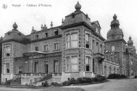 postkaart van Houyet Château d'Ardenne