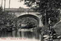 postkaart van Vresse-sur-Semois&nbsp;Ruisseau de Petit Fays