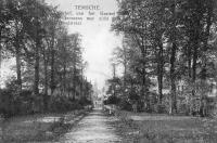 postkaart van Temse Vue extérieure du château de Mr Janssens et vue sur la rue du château