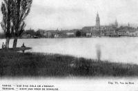 carte postale ancienne de Tamise Vue d'au delà de l'Escaut