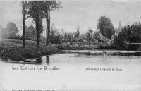 postkaart van Sint-Ulrics-Kapellen Les Etangs
