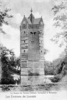 postkaart van Rotselaar Le donjon de l'ancien château Terheyden à Rotselaer