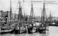 postkaart van Blankenberge Le port et les bateaux de Pêche