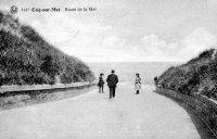 postkaart van De Haan Route de la mer