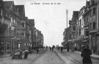 postkaart van De Panne Avenue de la mer