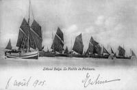 carte postale ancienne de La Panne La flotille de pêcheurs