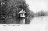 postkaart van Ardooie Les étangs du château