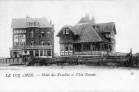 postkaart van De Haan Hôtel des familles et Villa Zeerust