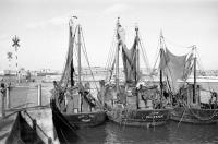 Ostende Les bateaux de pêche Pater Reyn et Jaak