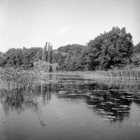 Rouge-Cloître Vue sur l'étang vers la chaussée de Tervuren
