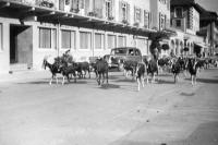 Lenzerheide (Suisse ) Un troupeau et une belle auto ancienne devant l'hôtel-restaurant Schweizerhof des Grisons. Lenzerheide (Suisse ) Un troupeau et une belle auto ancienne devant l'hôtel-restaurant Schweizerhof des Grisons.