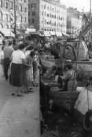 Marseille Les poissonières vendent leurs poissons au vieux port Marseille Les poissonières vendent leurs poissons au vieux port