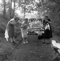  Pique-nique sur un chemin forestier le 16 août 1953