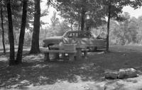  Ford sedan 1952 - Halt Pic-nic