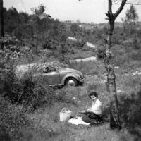  Halte pic-nic à côté de la Vw Coccinelle